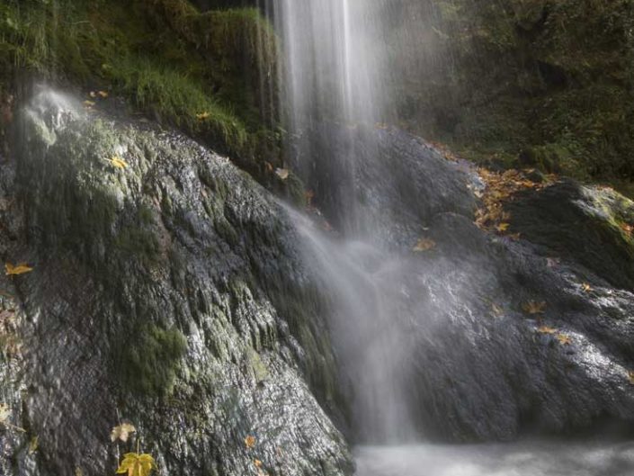 Filé d'eau et soleil d'automne