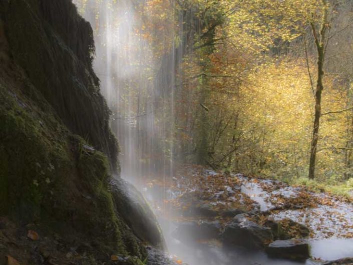 Ombre et lumière sur filé d'eau