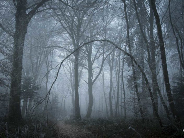 Mystérieux tunnel de la forêt enchantée